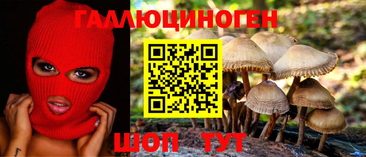 Кинель  Псилоцибиновые грибы Cubensis  Вход с VPN 