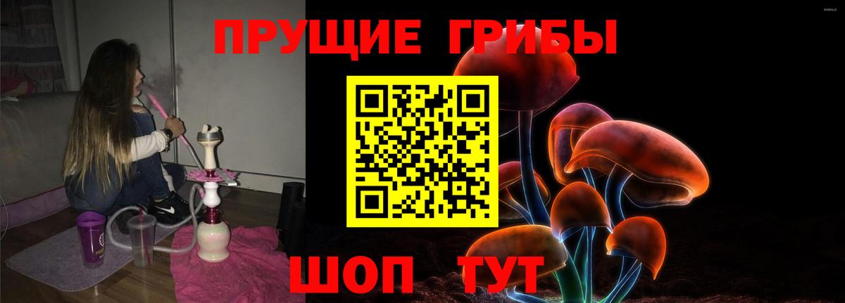 Галлюциногенные грибы GOLDEN TEACHER Кинель